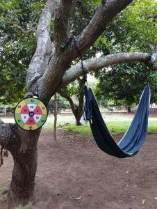 Jungle campers