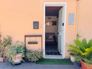 Lilly's House img12