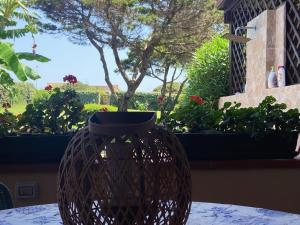 Villetta con giardino sulla Spiaggia della Pelosa