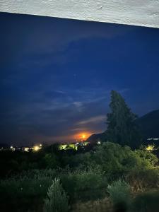 Nerissa Epidaurus sea -myth- serenity
