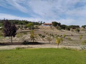 Typical Alentejo House