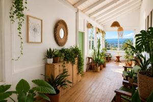 Silvestre Hostel