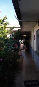 hostal casa 25