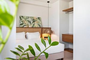 DOM Boutique Hotel