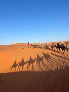 Silk Sahara Camp