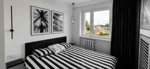 Modern Black Apartment