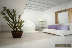 Elegant Cycladic Home Near Mykonos Town, E81