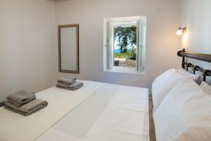 Amaranthus house