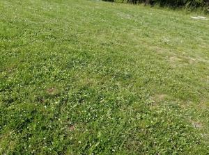 Podere Collicello, una finestra sullUmbria!
