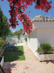 Katerinas Houses