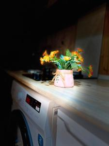 Eco cottage sunrise house merisi