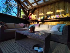 Miami Jungle Glamping Experience