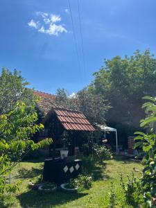 Ordinacija pod šljivom