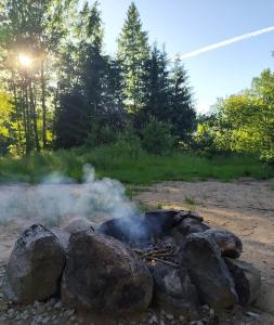 Miami Jungle Glamping Experience