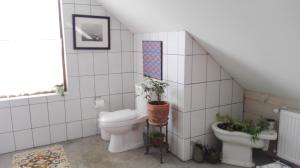 Homestead Mantoverde