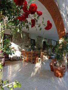 Podere il Gallo Agriturismo