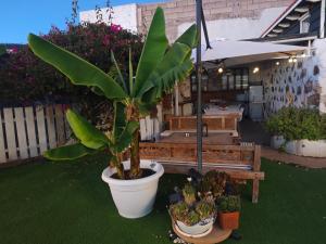 La Casita