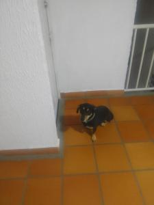 Rigoberto Ortegon