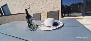 Villa mit Pool Ilija