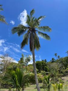 Sol del Este Luxury by SH