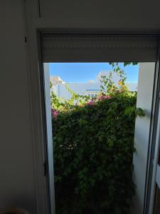 Sunlight Garden Escape