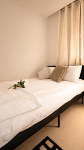 Urban Retreat 3-Min Walk from Achasan Station, 15-Min to Seongsu, Tranquil Space for Relaxation