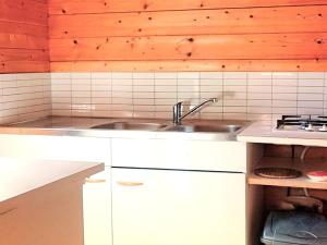 Chalet - Animaux admis - 4 pers. - API-1-52-2942