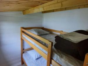 Chalet - Animaux admis - 4 pers. - API-1-52-2942