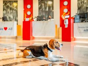 Ibis Barcelona Castelldefels