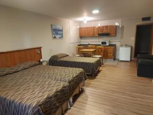 Docta Suites Apartaments