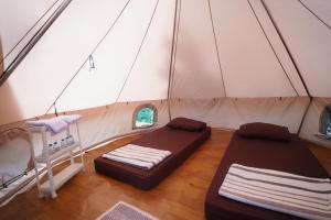 Kabut Pinus Comfort Camp