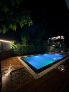 Luxurious farm to stay