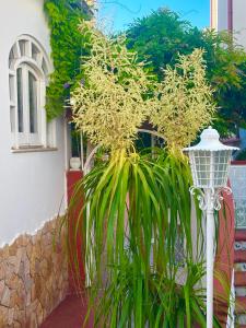 Syrene Suites Sorrento