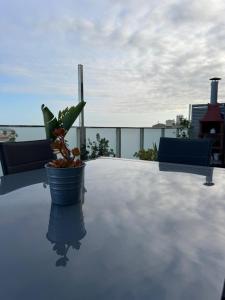Mirador al Mar