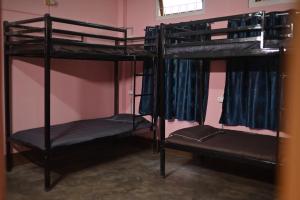 The Backpackers Hostel