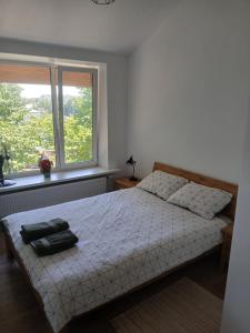 Lauku ielas apartamenti 2