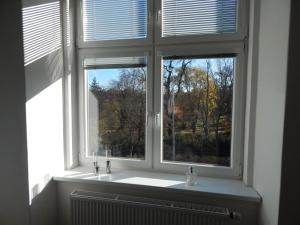 Private oaken room with park view in shared flat