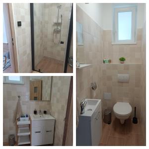 Borz Apartman