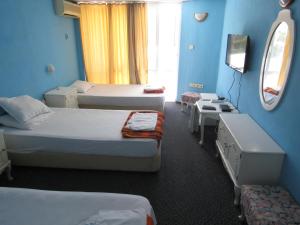 Hostel Papagal