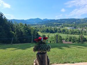 Almtalblick