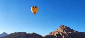 faisal wadi rum