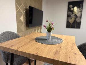 Apartman 4YOU: Karlo i Klara
