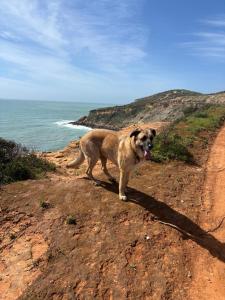 Quinta Madrugada Burgau