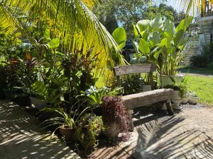 La Vida Hostel Samal Island