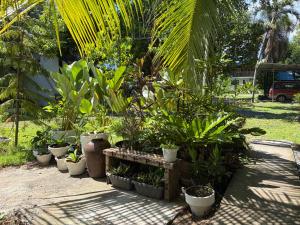 La Vida Hostel Samal Island