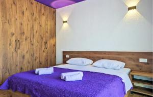Beautiful Apartment In Obrovac With Wifi