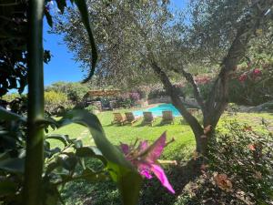 Villa Girasole img62