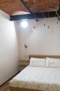 Sky and Vineyards - Olivo -