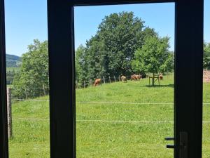 Almtalblick
