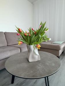 Apartment Quido v Českom Krumlove s parkovaním